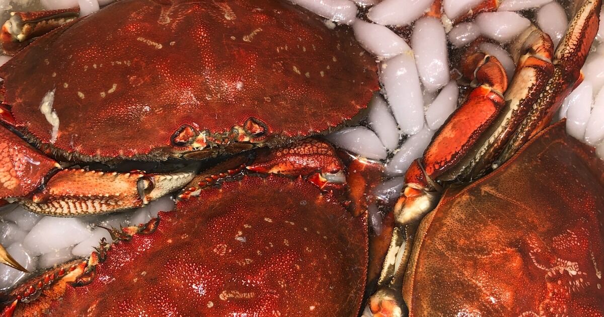 Better Crabbing in BC