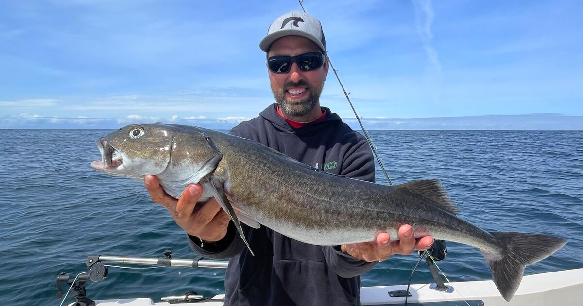 Rob Frawley strikes black gold
