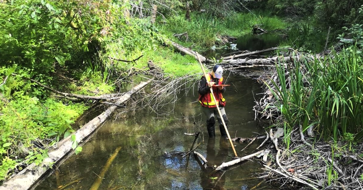Volunteer doing creek habitat assessment