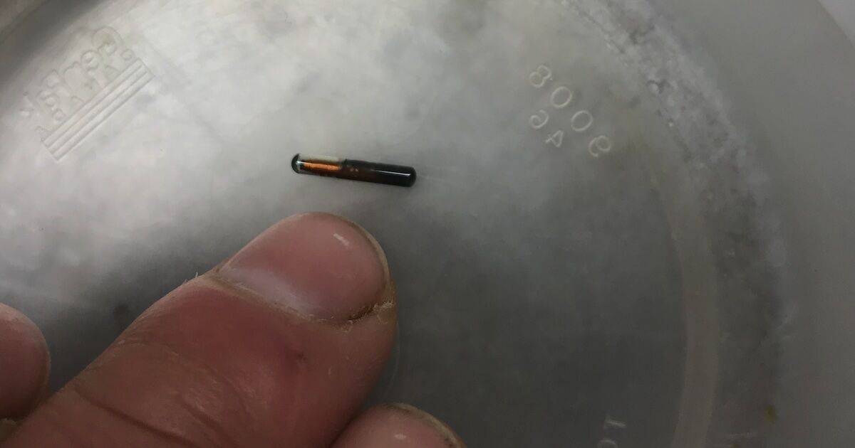 what is a pit tag