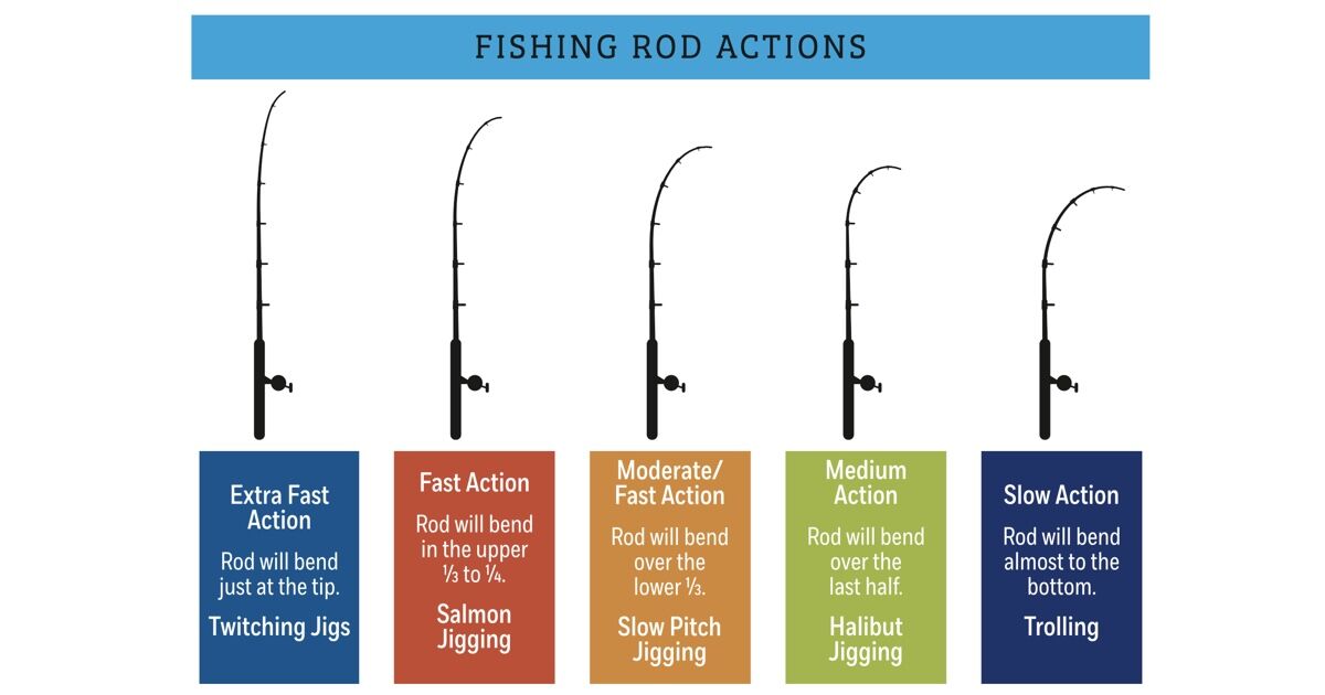Fishing Rod Action