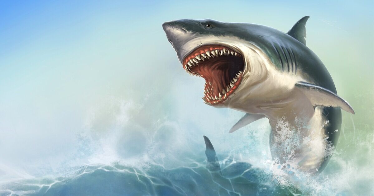 Great white shark breaching the water surface with its mouth open, displaying sharp teeth and surrounded by splashing waves.