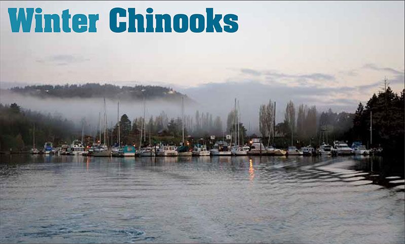 Winter Chinooks Winter Chinooks
