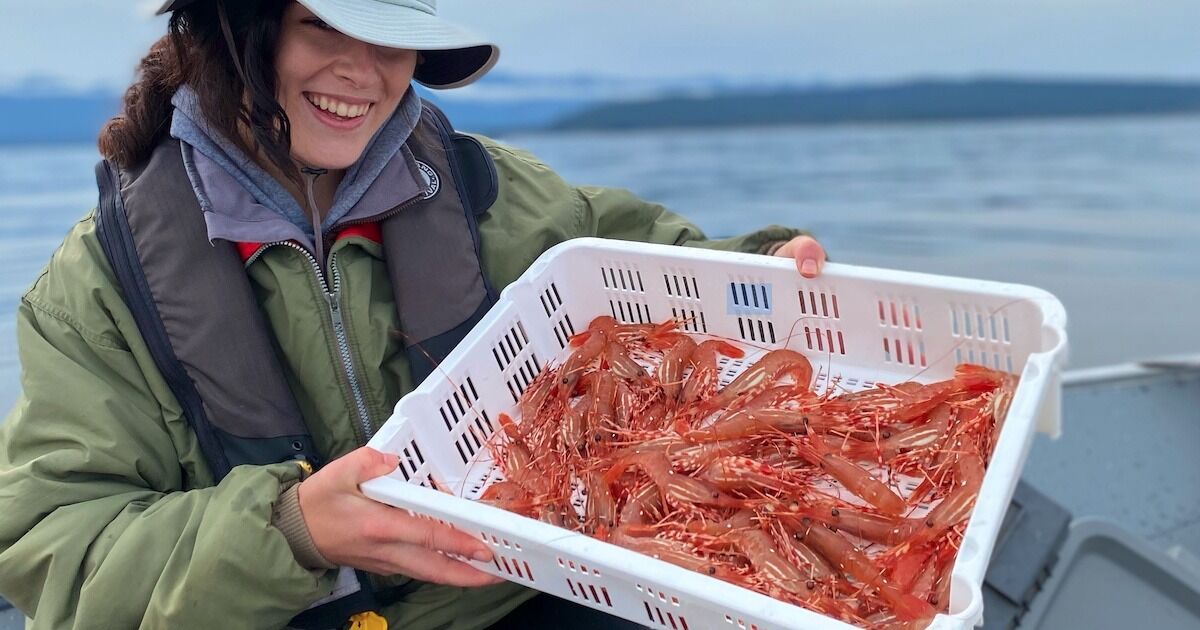 Taylor Shaw with a bounty of prawns. Photo by father David Shaw