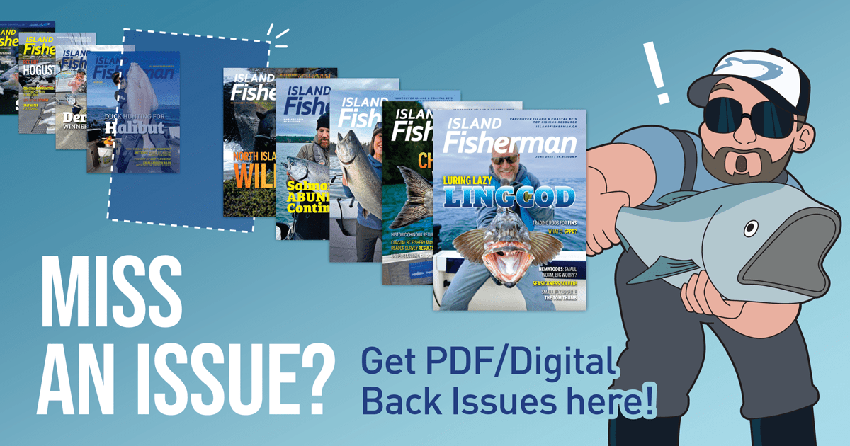 IFM-1200×630-Digital-Back-Issues-Ad-06-2025