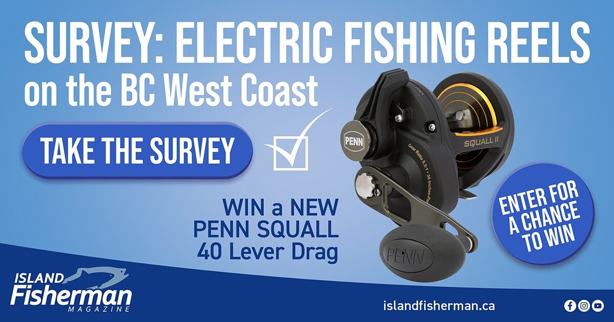 electric reel survey