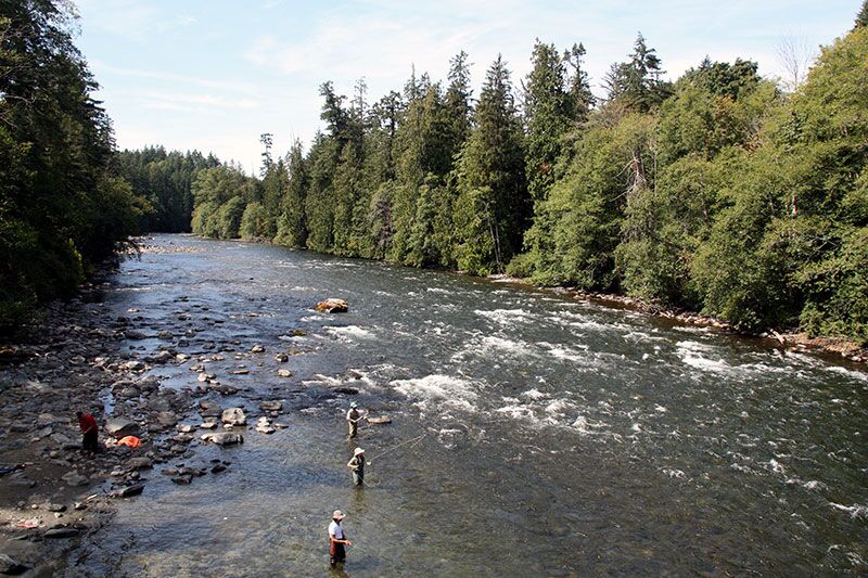 Campbell River Campbell River Fishing Report
