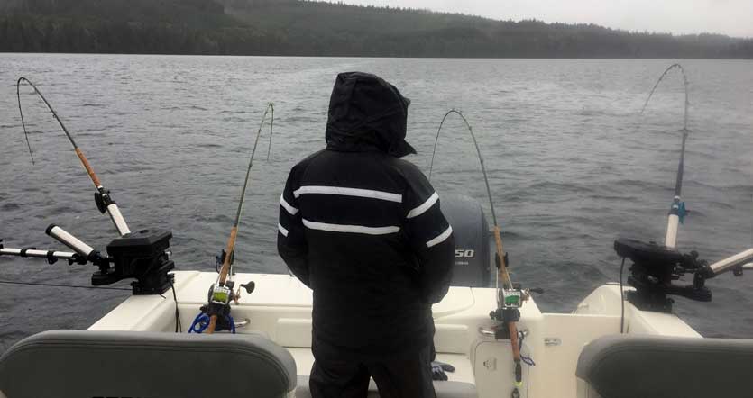 Downrigger Downrigger