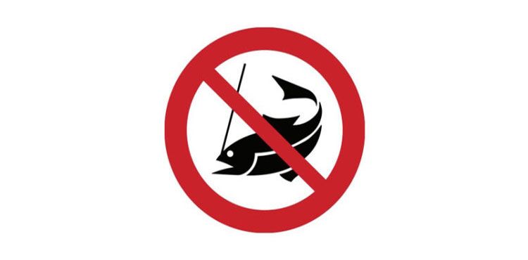 Call to Action – Help Save BC’s Public Fishery Call to Action – Help Save BC’s Public Fishery