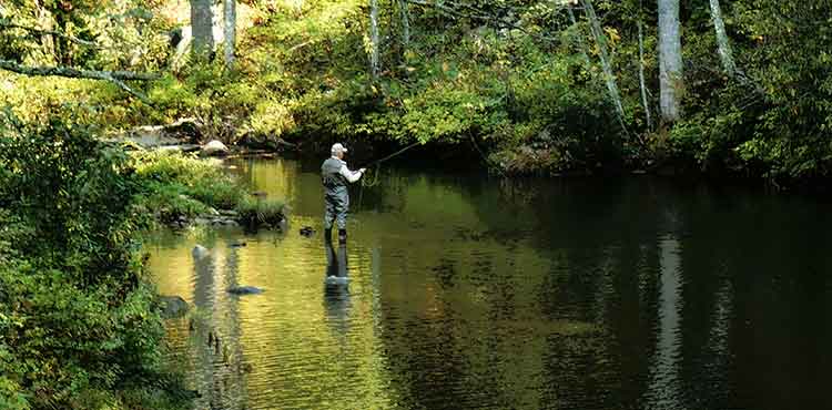 Shallow Water Solutions Shallow Water Solutions