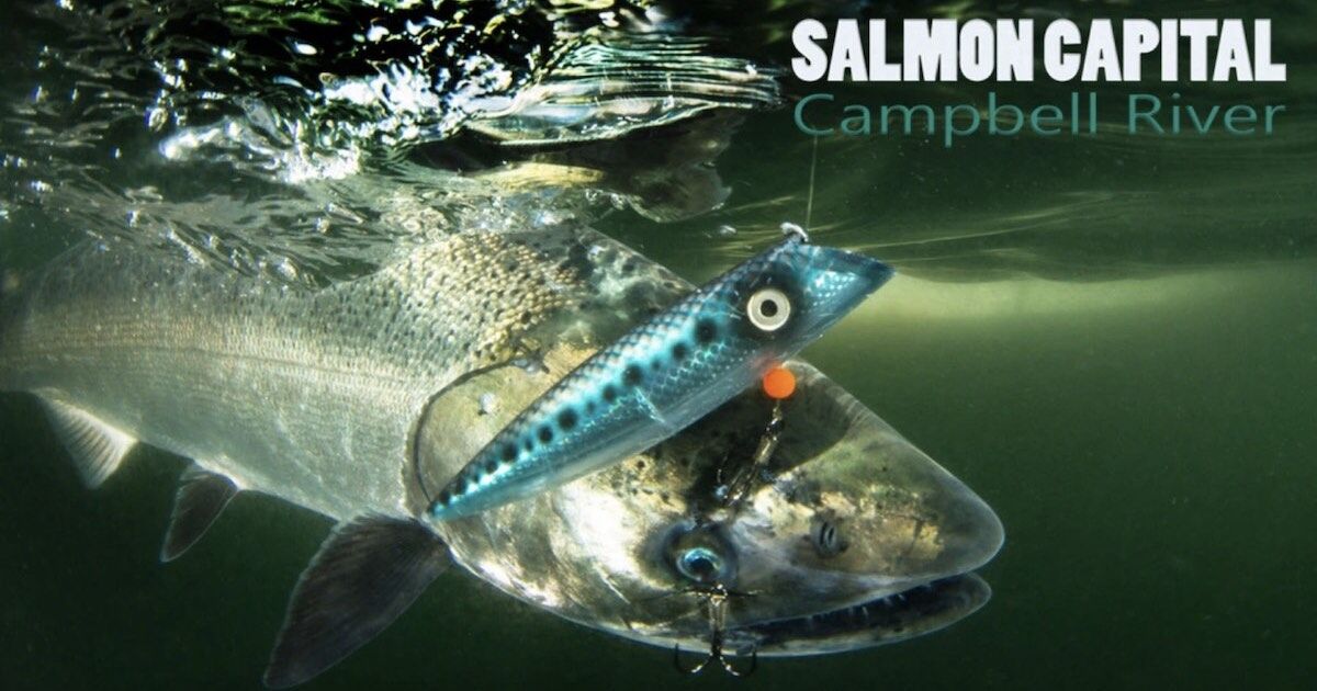 Salmon Capital Of The World