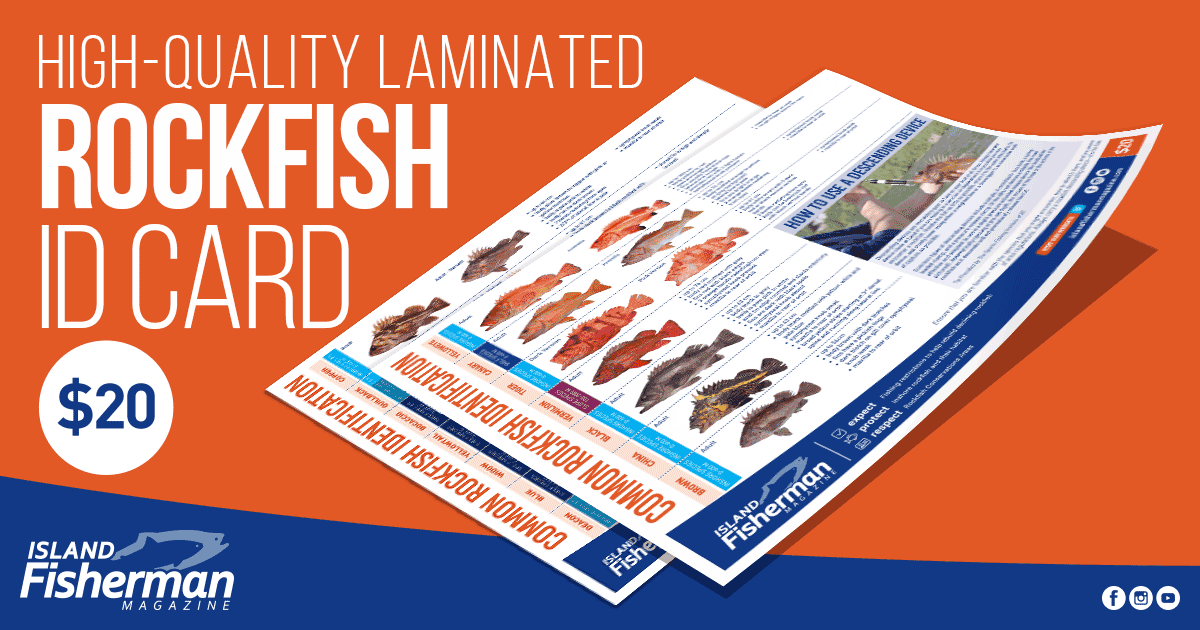 Laminated Rockfish Identification Card