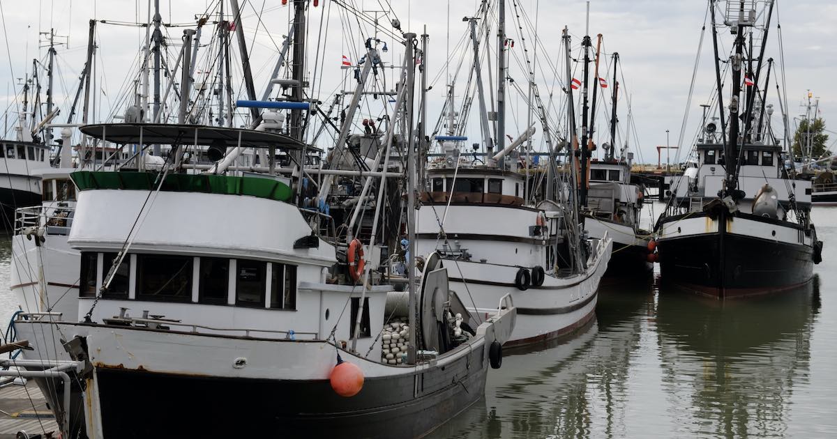 Commercial fishing boats docked in BC, Canada