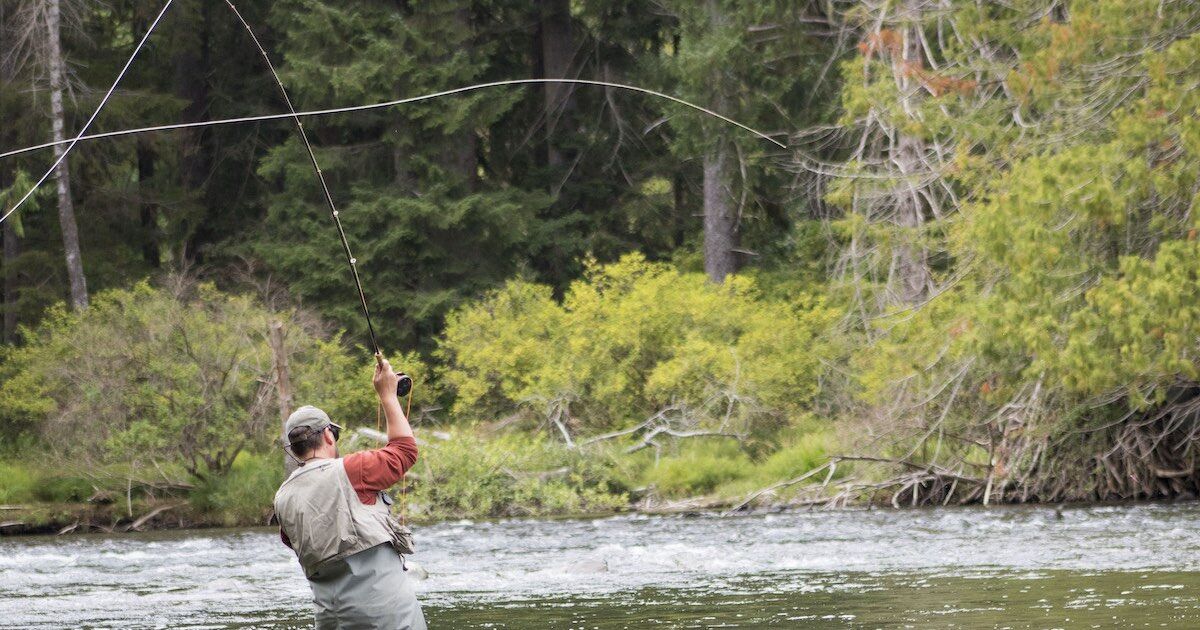 A,Man,Fly-fishing,On,The,Campbell,River,Is,Reeling,In