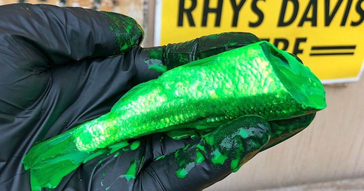 How to brine bait for fishing