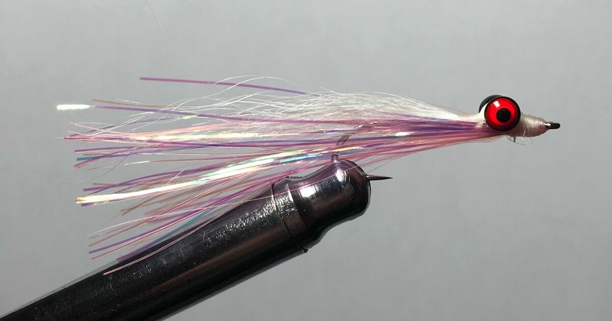 Coho Clouser Fly