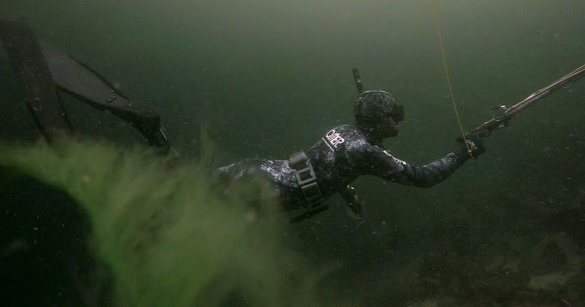 Freedive Spearfishing