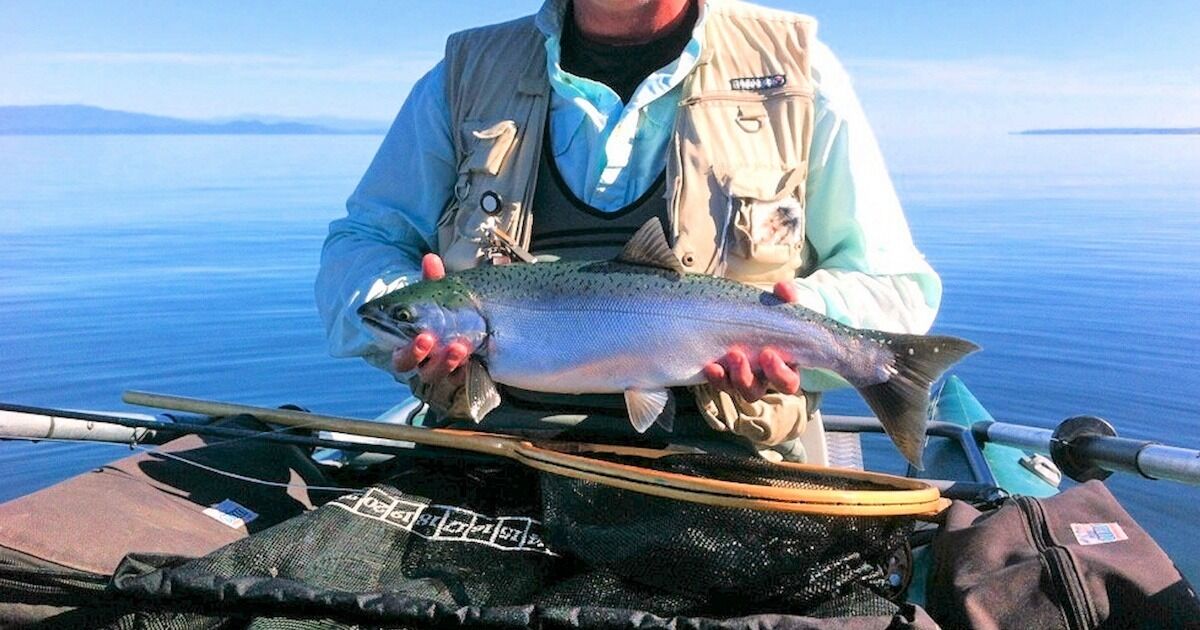 Bill Luscombe with a Hatchery Coho Caught on the Fly