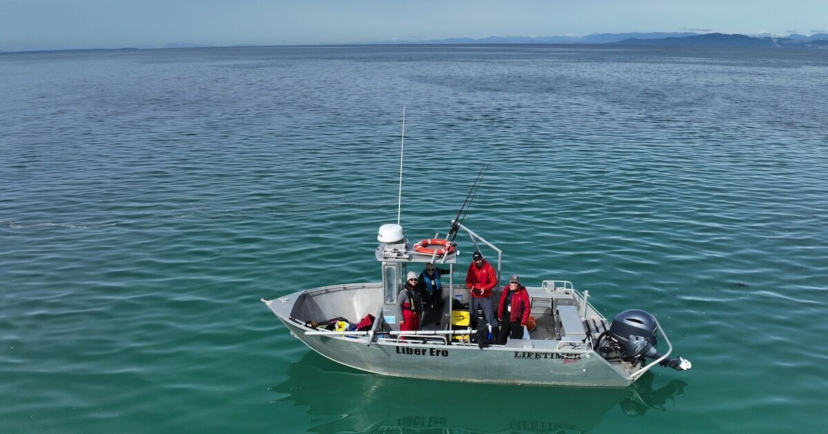 PSF’s herring team in the field_Credit-Loic Dallaire